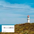 一颗大土豆 - 问别