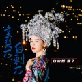 白宏哲 - 棠梨花白刺花
