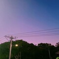 姚颖霖 - 想念拟人化