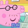 探星社 - 嫌疑猪佩奇？？！