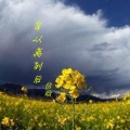 信晗 - 自从离别后