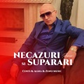 Necazuri și supărări (Remix)