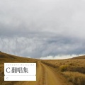 C. - 说句实话