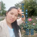 豪歌专辑