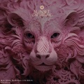 Mag Soto、Munenza、Leo Rojas - Rosadita