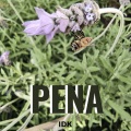 Pena