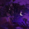 Zealous - Poed (Explicit)