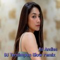 DJ Andies - DJ Tersimpan Slow Remix