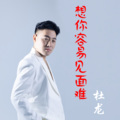 杜龙 - 想你容易见面难