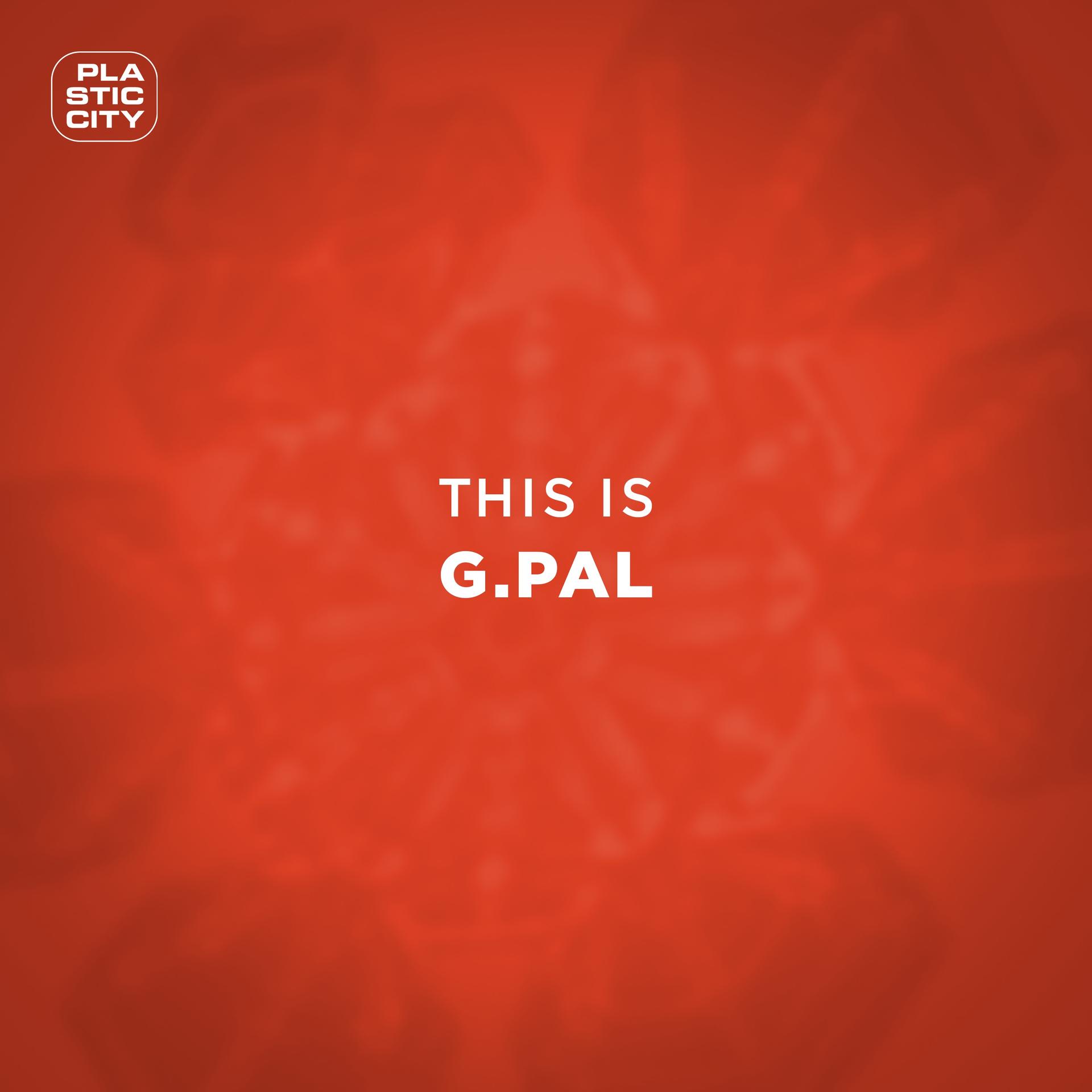 G.Pal - A Day Of Birth