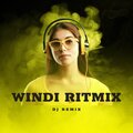 Windi Ritmix - DJ Somewhere Only Wimix Koplo
