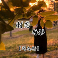 刘志轩 - 时光与影