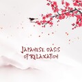 Asian Flute Music Oasis - Elbow Pressure