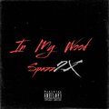 In My Wood (Explicit)