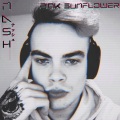 Madonlakki、Cyberpunk - Pink Sunflower (feat. Madonlakki)