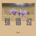 三胖muic - 花开你未来 (DJ版)