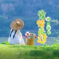 浅笑安然 - 爱情来过