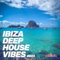 Armentani Brothers、Kriss Norman - Need Your Love