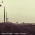 deadman 死人、Johnny808 - it's been so hard to sleep these days...