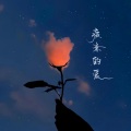 橘君 - 疲惫的爱