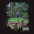 Lucid Jay - F.A.M.E