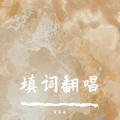 岁岁安 - 不问ciaga (不问霜雪崩铁填词)