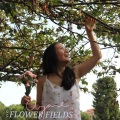 Ayane、Júlia Páez Lancho - Flower fields