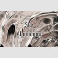 Shy - Aluminium