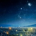 羽肿 - Sleepless Starlight