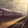 追梦 - 舍不得和你说再见