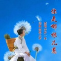 你是哪根儿葱