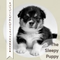 The Sleepy Puppy - Under One Roof