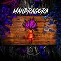 Grep - Mandragora