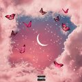 The Butterfly Era (Explicit)