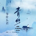 LIGE、N. Nguyênn - 青丝Thanh Ti (LIGE & N. Nguyênn Bootlge)