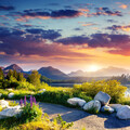 Nature Lab、Calm Dinner Music、Quiet Wonder - Harmonious Nature Melodies Soothe and Calm