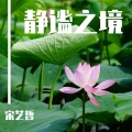 宋艺哲 - 安宁海浪声
