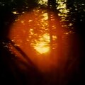 victory over death - Outline