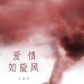 王超然 - 爱情如旋风
