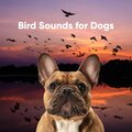 Bird Sounds for Dogs