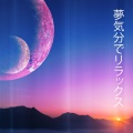 ララバイアカデミー - フォロー・ザ・ナイト