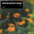 任博鑫 - 看得最远的地方 (Live)