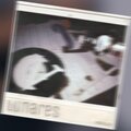 MØRRIGAN、Artz - Lunares (2023 Remastered Version)