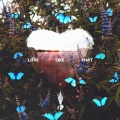 Branan Murphy - Love Like That