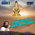 k j yesudas - Pallavinchava Udhayam Ayyappa