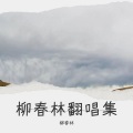 柳春林 - 从军行