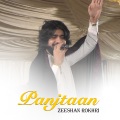 Zeeshan Rokhri - Pataa