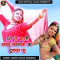 Mukesh Gurjar Sawaibhoj - Are Ae Mhari Janu Kalja Ka Tukda Su
