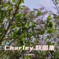 Charley. - 时间有泪