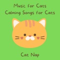 Music for Cats: Calming Songs for Cats